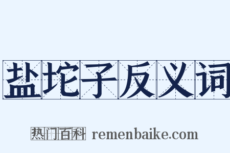 盐坨子反义词是什么意思的图片